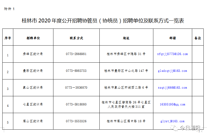 天等县统计局最新招聘概览