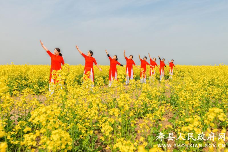 陶店回族乡发展规划展望