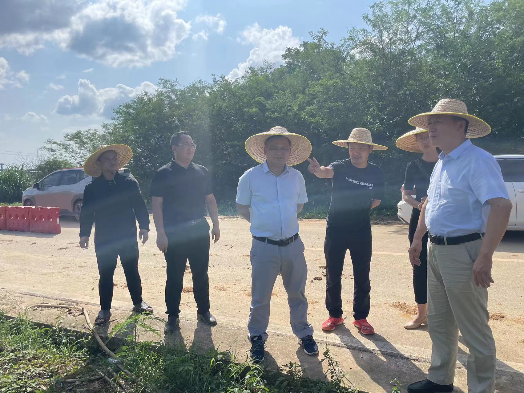 石埠街道新项目，引领地区发展的强大动力之源