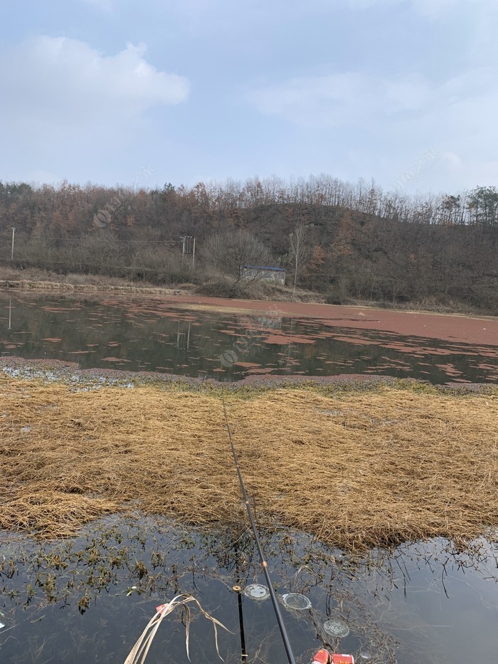 徐家河乡天气预报更新通知