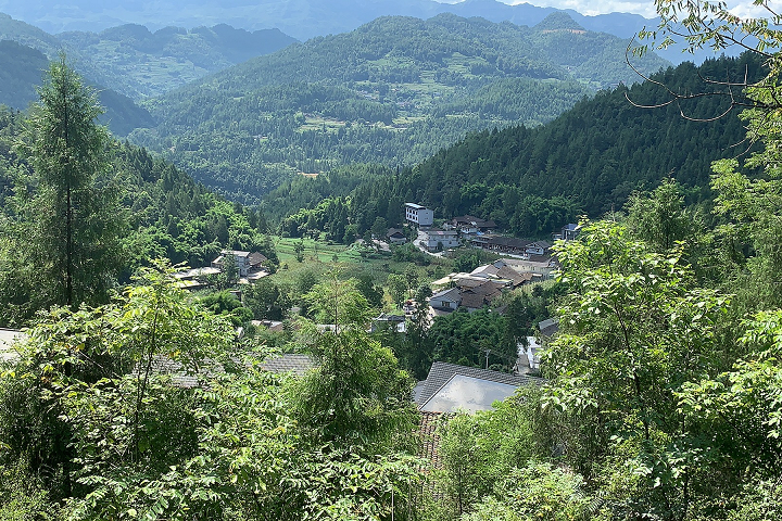 彭水苗族土家族自治县农业农村局最新项目，推动农业现代化，助力乡村振兴