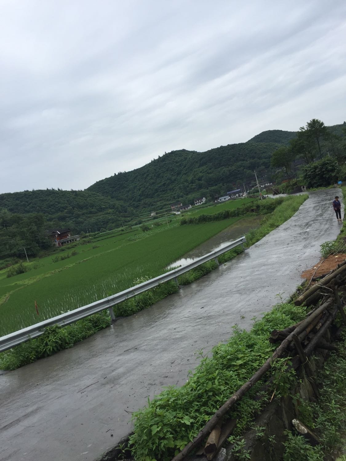 玉山村委会天气预报更新通知