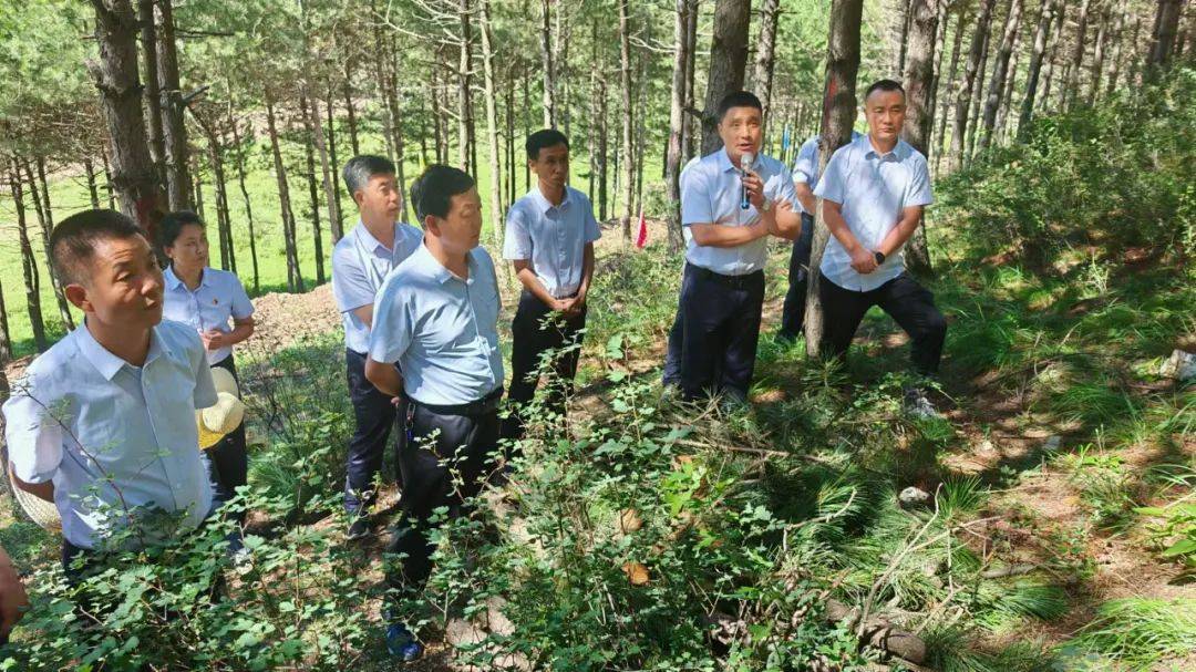 大同山林场最新新闻