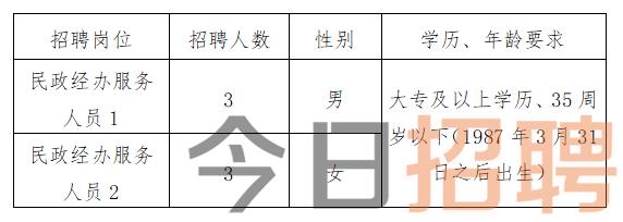 德阳市信访局最新招聘信息详解，内容解析与招聘要点汇总