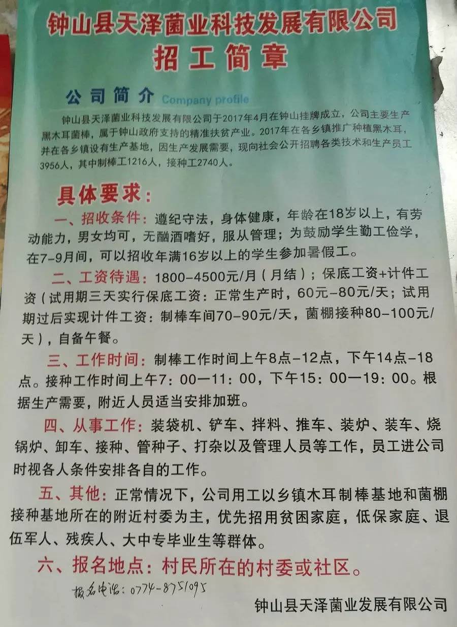 大生镇最新招聘信息，打造人才繁荣社区聚集地