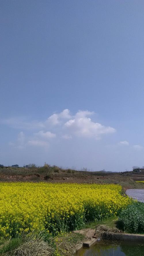 卸甲镇天气预报更新通知