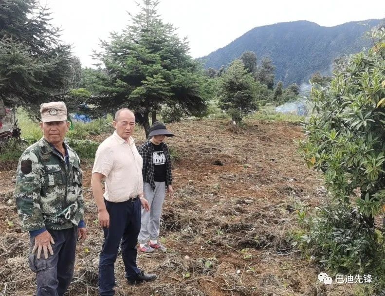 卡芒巴村新领导，引领村庄新时代的先锋力量