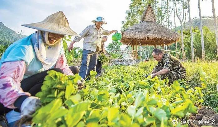 大连华侨果树农场新领导团队引领农场发展迈向新高度