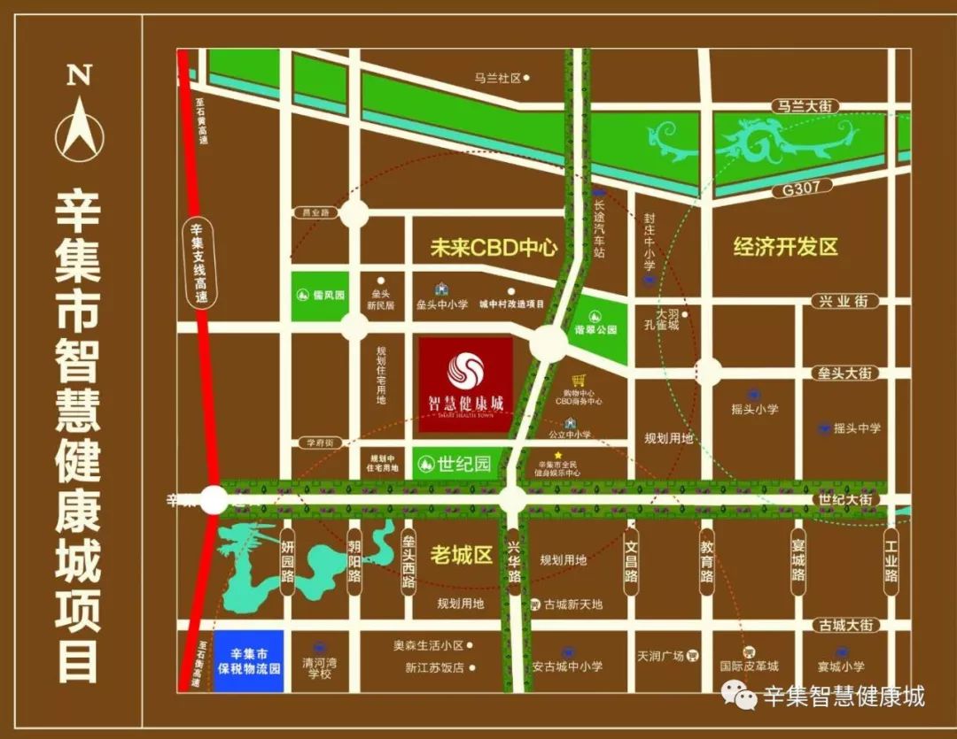 辛集市计划生育委员会发展规划展望，未来展望与策略布局