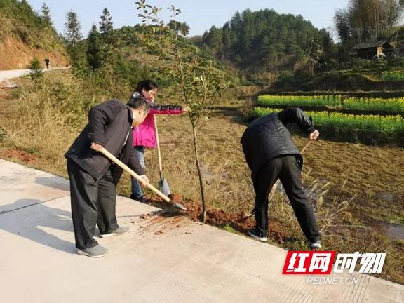 麻阳苗族自治县水利局新项目推动水利建设助力地方发展