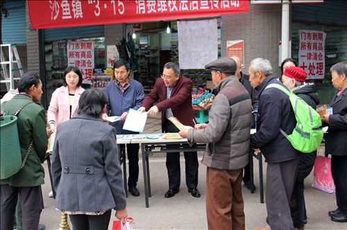 沙鱼镇最新项目，先锋力量引领地区发展