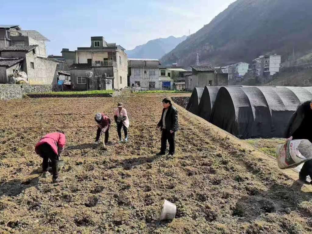 城口县科技局领导团队全新亮相，前瞻领导引领未来创新之路