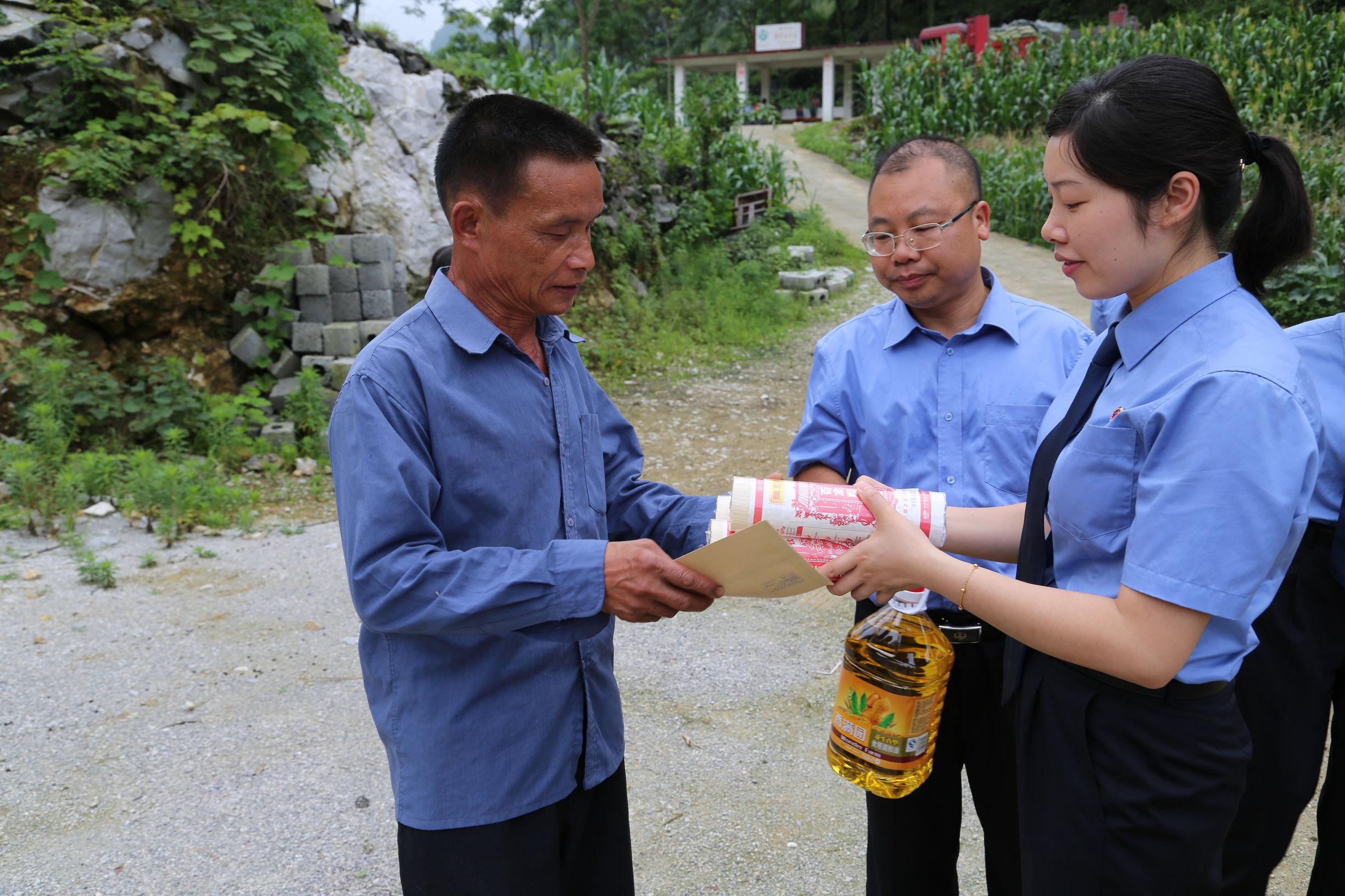 都安瑶族自治县数据和政务服务局最新发展规划研究概览