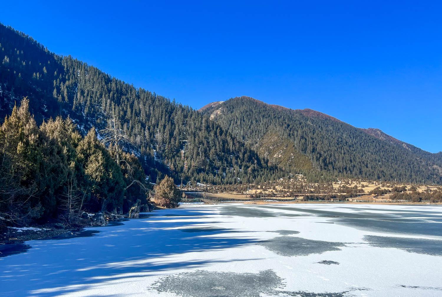 雪巴村交通新篇章，迈向现代化交通发展之路