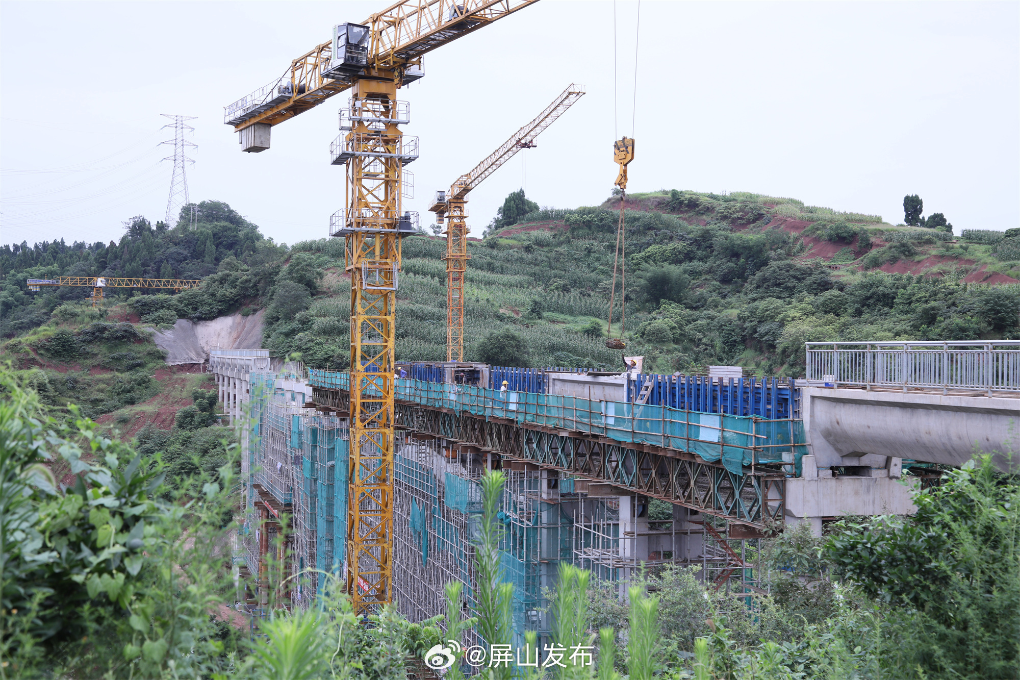 向家坝镇新项目，地区发展的强大引擎驱动力