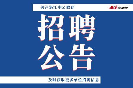 麻章区民政局积极推进民生服务，助力区域发展最新动态