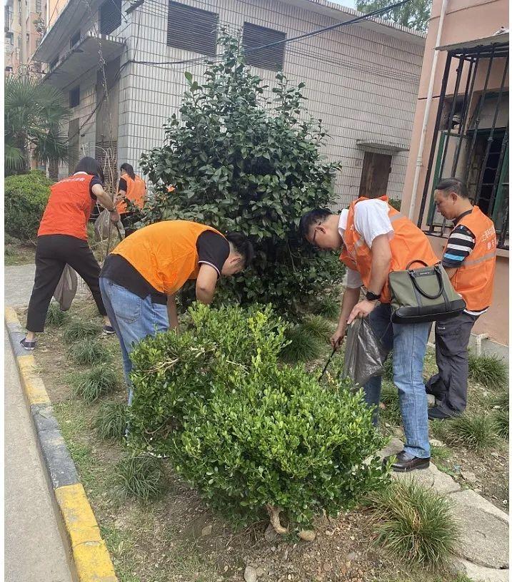 安丰社区天气预报与居民生活指南