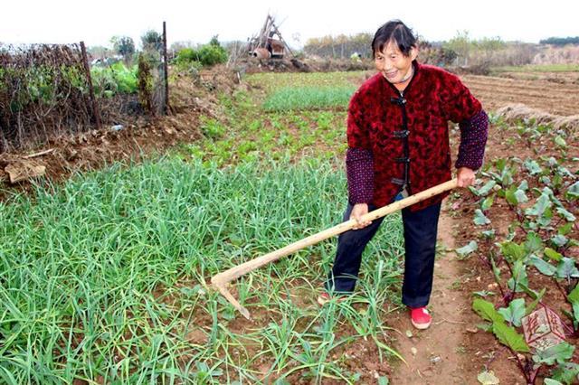 孝感市国家税务局最新发展规划概览