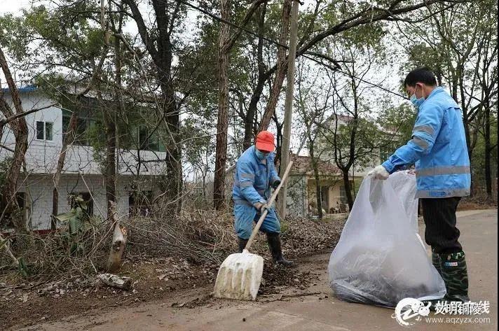 铜陵市卫生局最新招聘信息概览与招聘细节深度解析