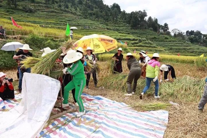 泽巴村最新新闻动态报道