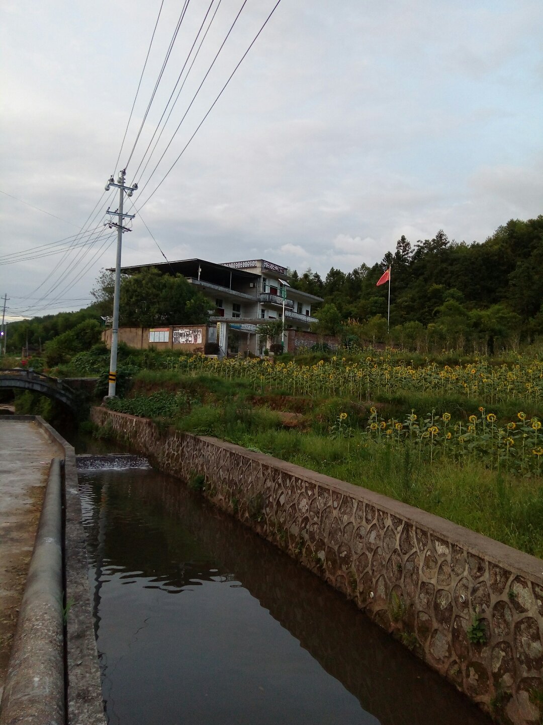 店前镇天气预报更新通知