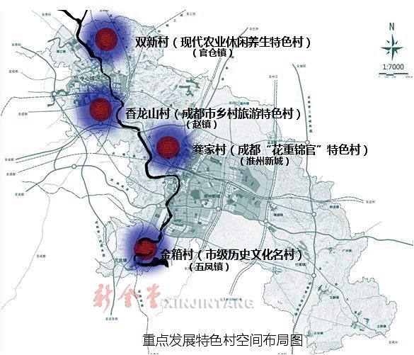 金堂村走向繁荣与和谐，最新发展规划蓝图揭秘