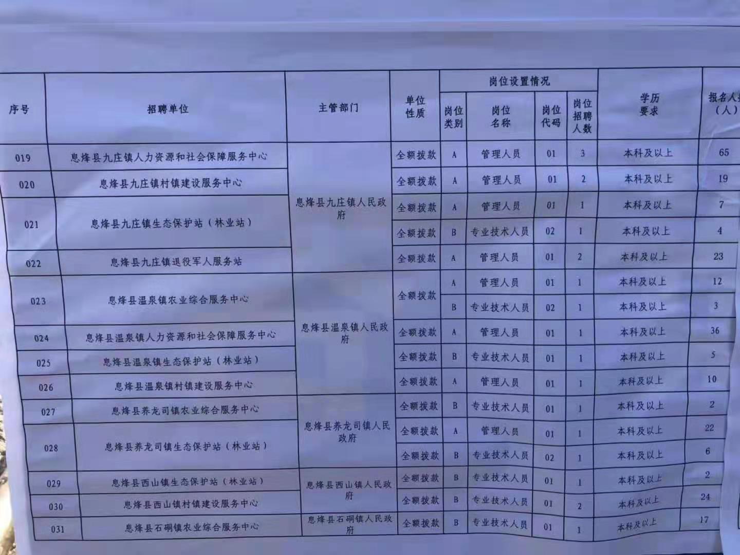 定海区数据和政务服务局最新招聘全解析