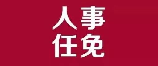 庆云县审计局人事任命重塑未来审计格局